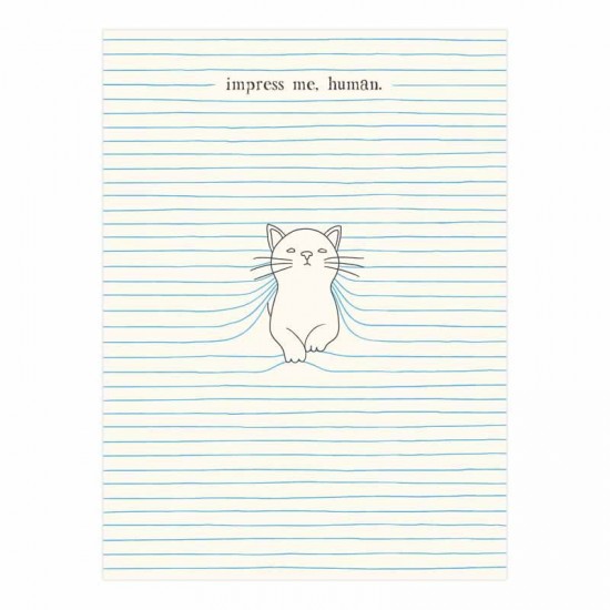 Картичка - Eclectic Selection - felines - Impress me, human