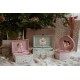Музикална Кутия за Бижута Rosa Fairy Garden